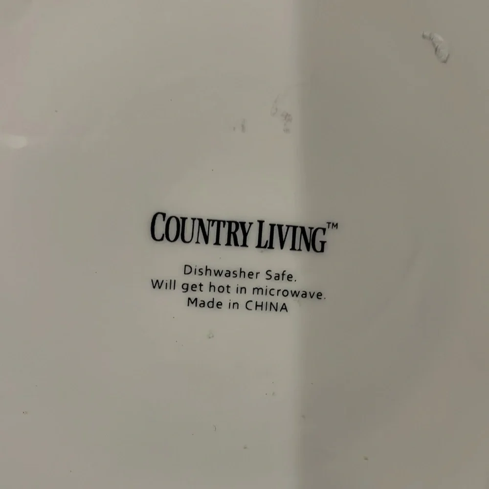 Country Living White with Red Trim Chicken and Chicks 11” Plate Hens and Chicks